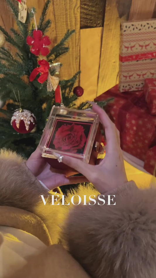 Rose Gift Box for Jewelry